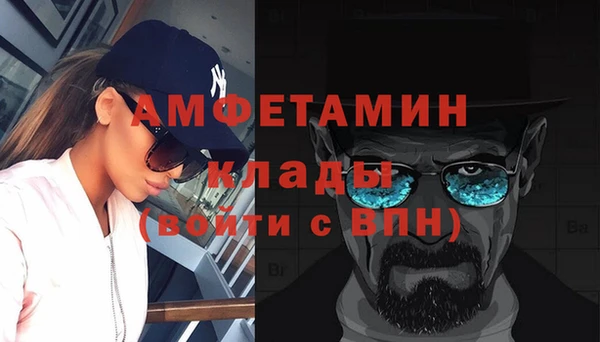 шишки Дмитров