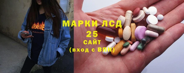 шишки Дмитров