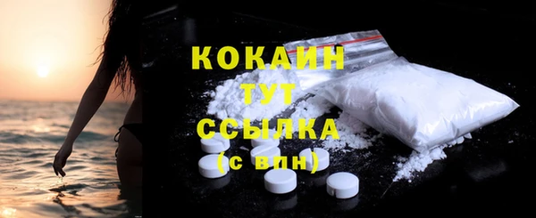 шишки Дмитров
