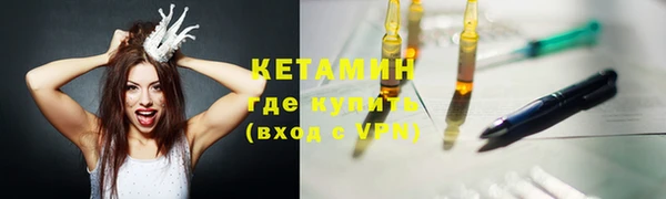 шишки Дмитров