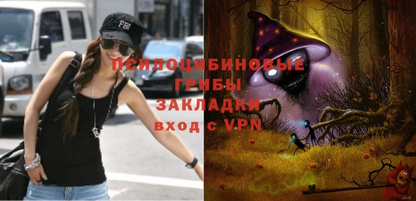 дурь Гусь-Хрустальный