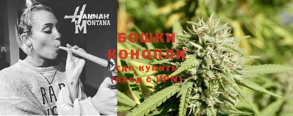 соль ск Гусиноозёрск