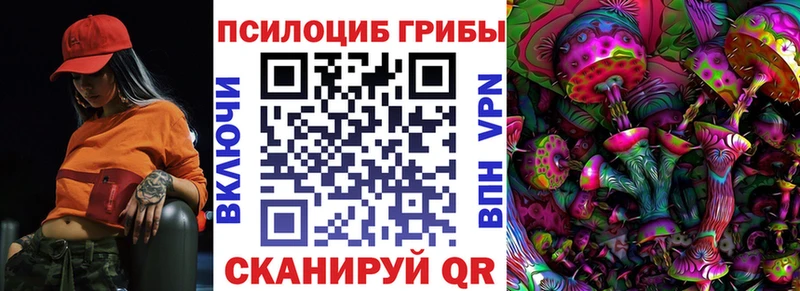 Псилоцибиновые грибы ЛСД Новоалександровск
